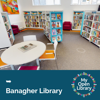 banagher library navigation image